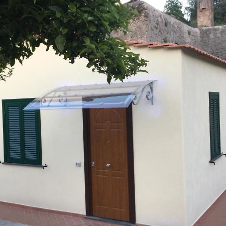 La Finestra Sul Giardino Appartement Ischia Buitenkant foto